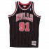 Swingman Jersey Chicago Bulls 1995-96 Dennis Rodman