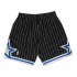 NBA Swingman Shorts Orlando Magic 1994-95