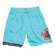 Mitchell & Ness NBA Swingman Shorts Vancouver Grizzlies 1996-97