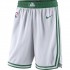 Boston Celtics Swingman