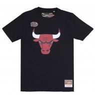 NBA Tee Logo Bulls