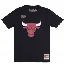 NBA Tee Logo Bulls