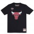 NBA Tee Logo Bulls